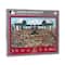 Arizona Diamondbacks Joe Journeyman 500 Piece Puzzle